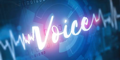 VOICE Voice